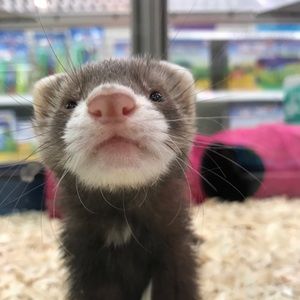 Meet your Posher, Katelynn